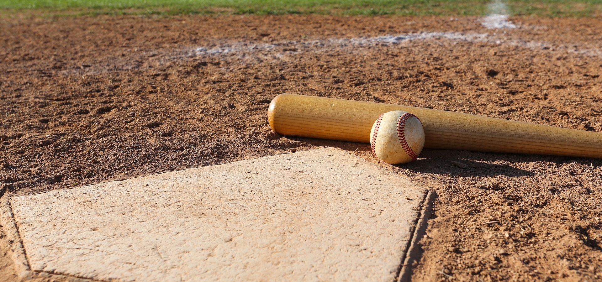 BSP_LP_Bkg_BaseballBINetSuite.jpg