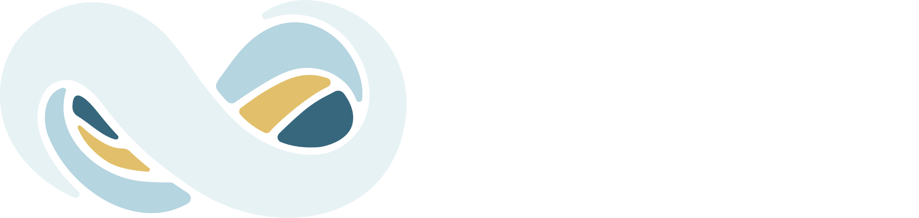 NetSuite-logo-half-blue