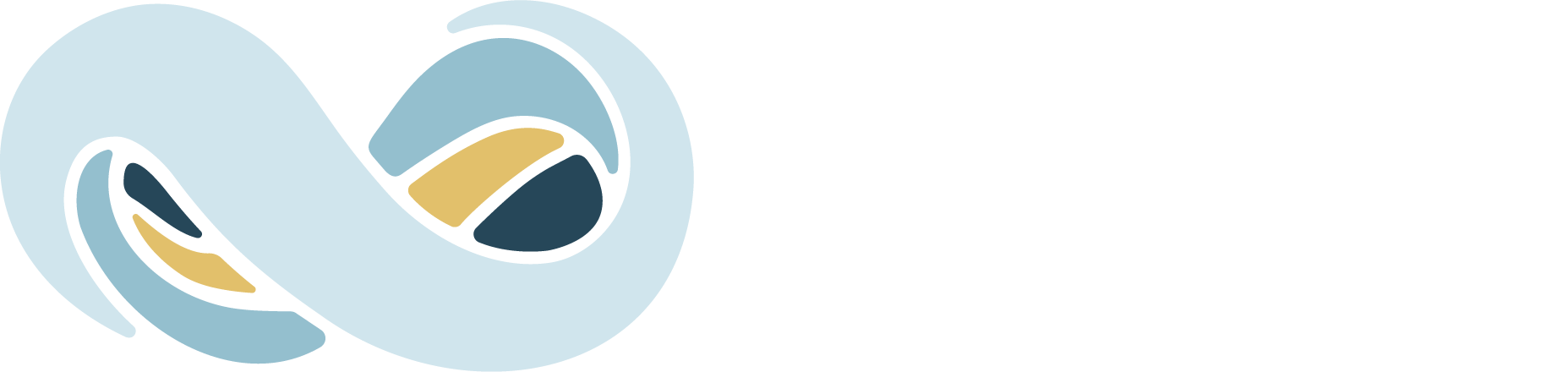 NetSuite-logo-half-dark