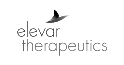 bsplogoscroller_elevar