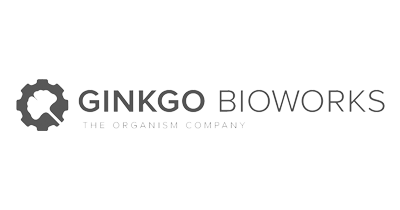 bsplogoscroller_ginko