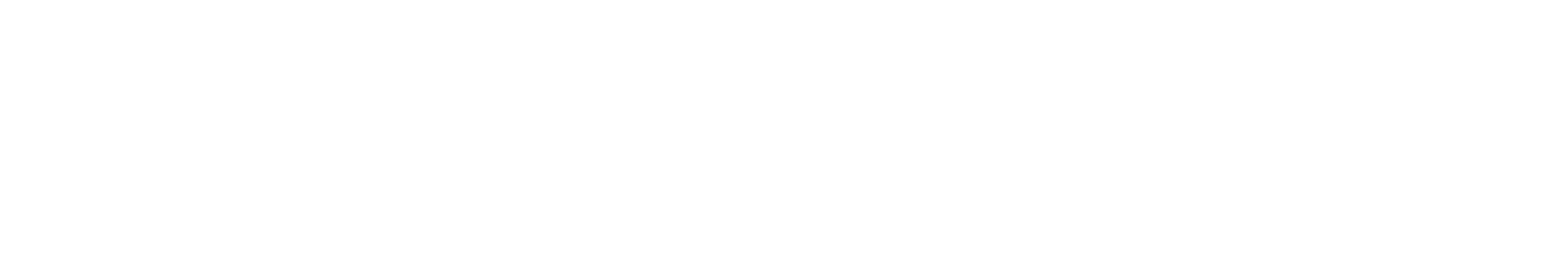 Workday Adaptive Planning Channel Partner logo